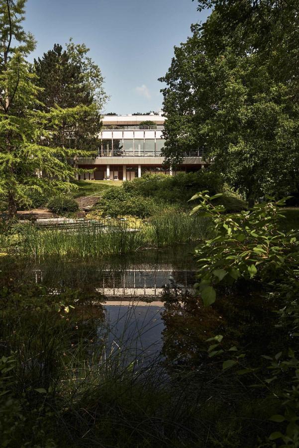 Hotel Bold Campus Königstein im Taunus Exteriér fotografie