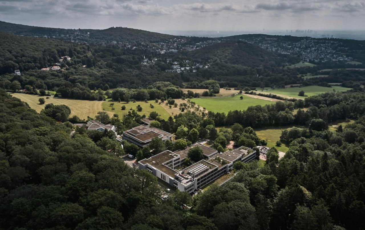 Hotel Bold Campus Königstein im Taunus Exteriér fotografie